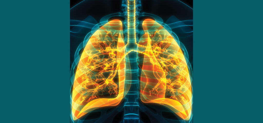 Lung Anatomy Illustration